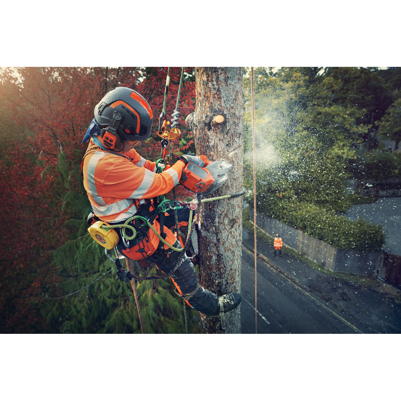 GRANDININIS PJŪKLAS akumuliatorinis Husqvarna T540i XP® 1 GRANDININIS PJŪKLAS akumuliatorinis Husqvarna T540i XP® 1