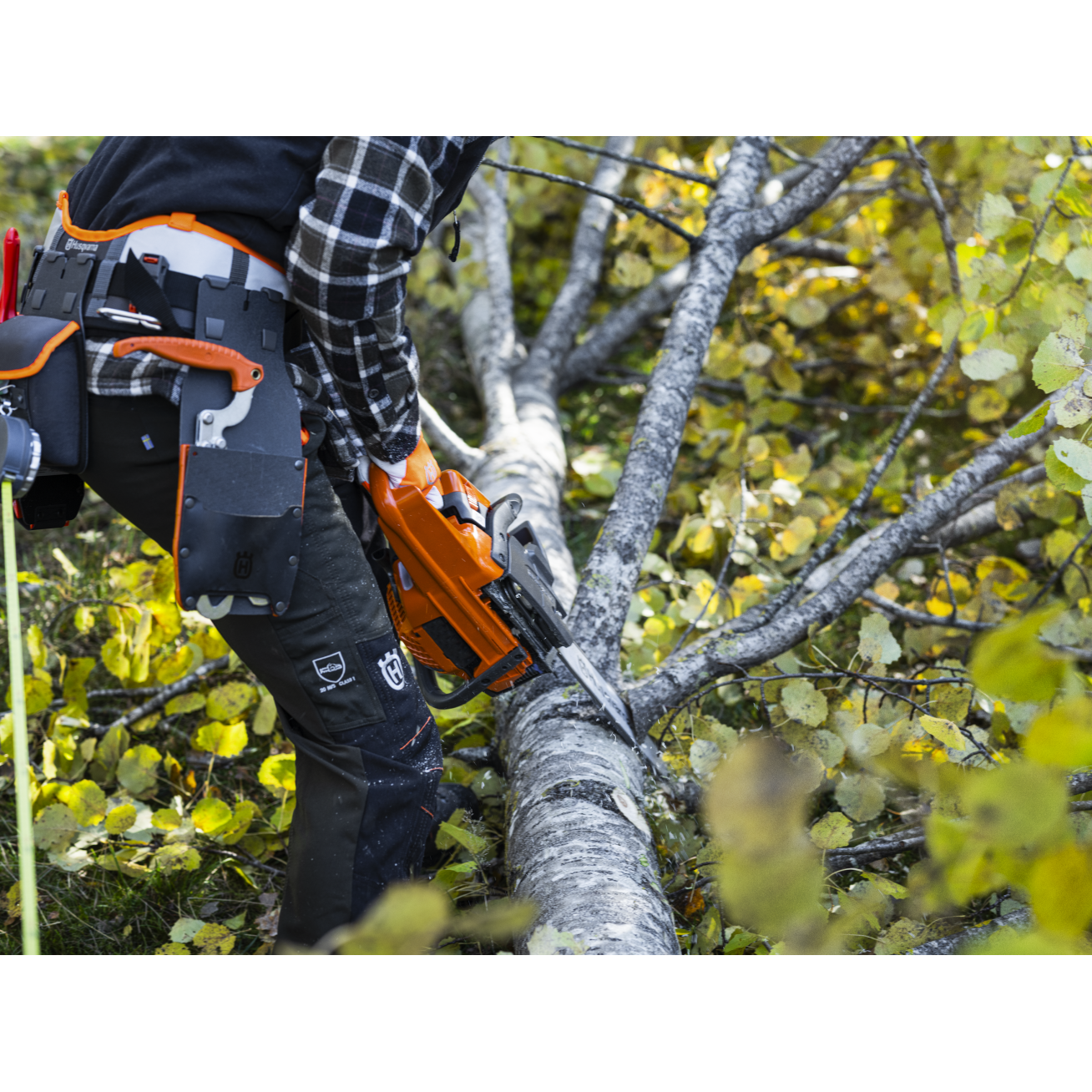 GRANDININIS PJŪKLAS Husqvarna 445S 4