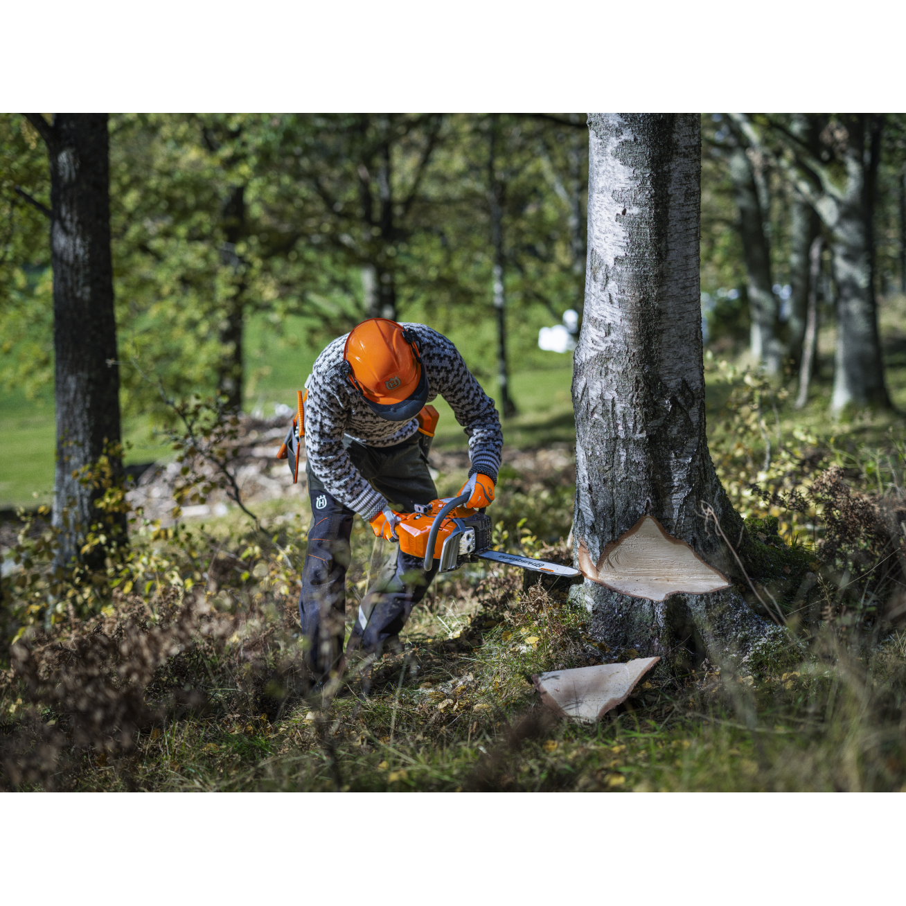 GRANDININIS PJŪKLAS Husqvarna 450S 1