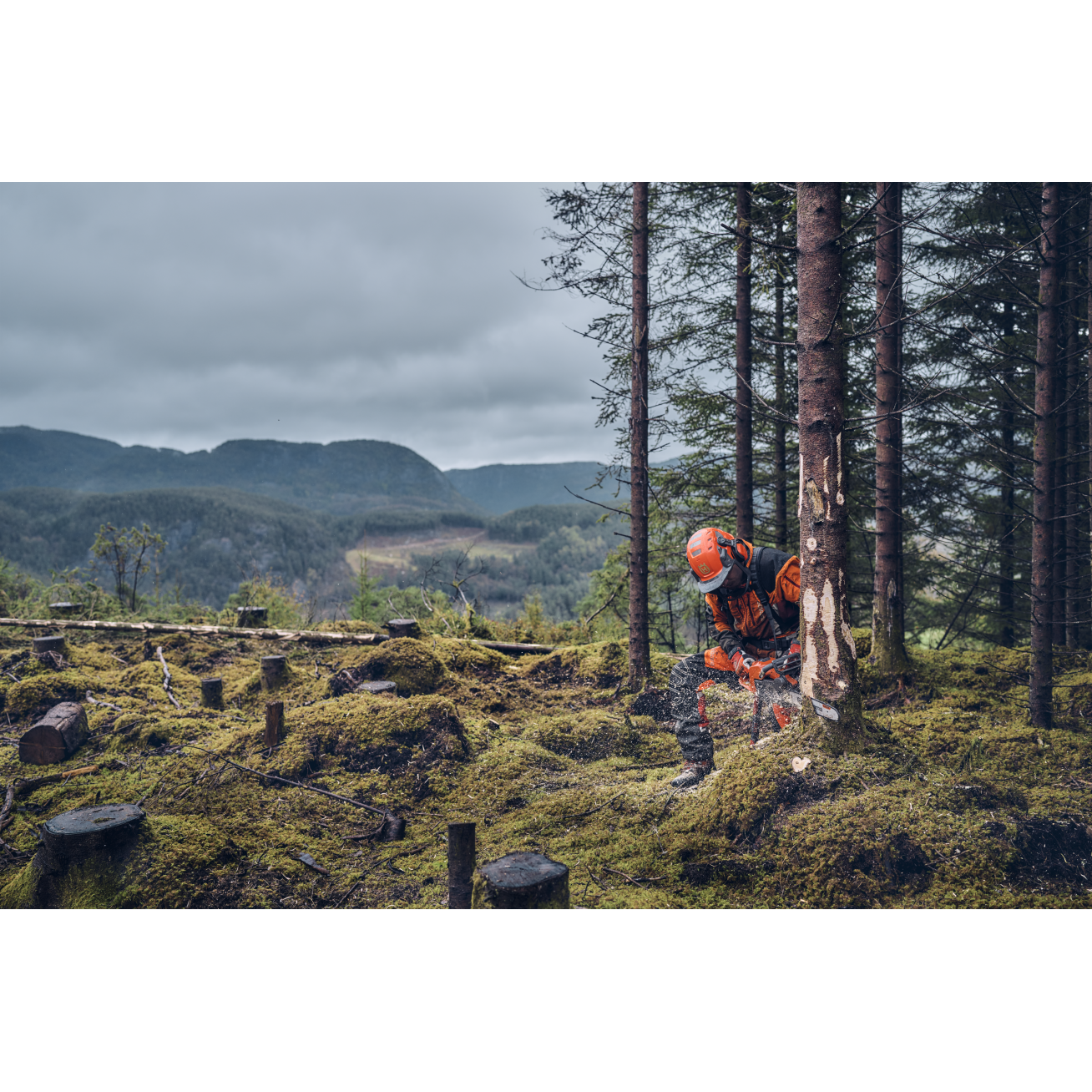 GRANDININIS PJŪKLAS Husqvarna 540 XP® Mark III