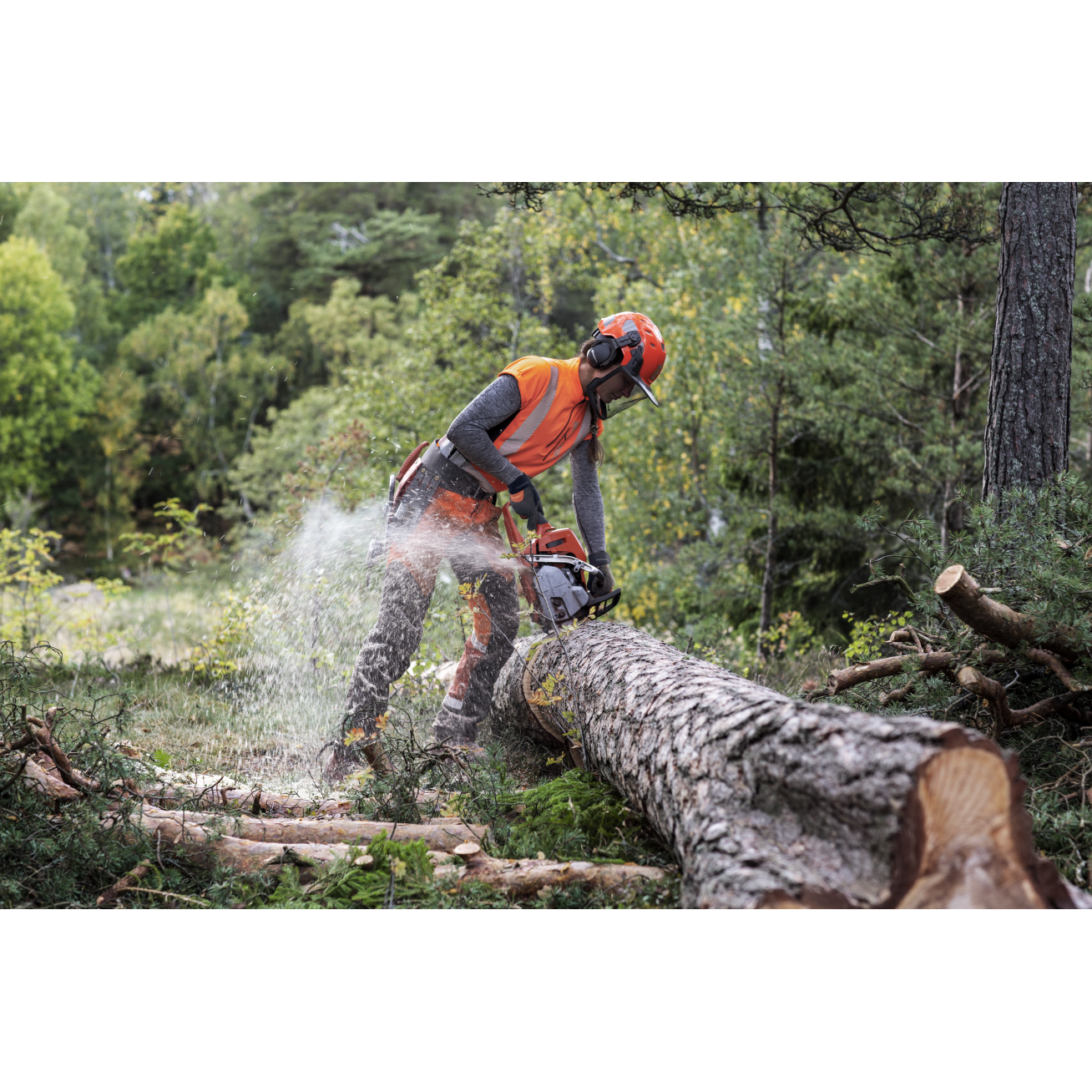 GRANDININIS PJŪKLAS Husqvarna 550 XP® Mark II 5