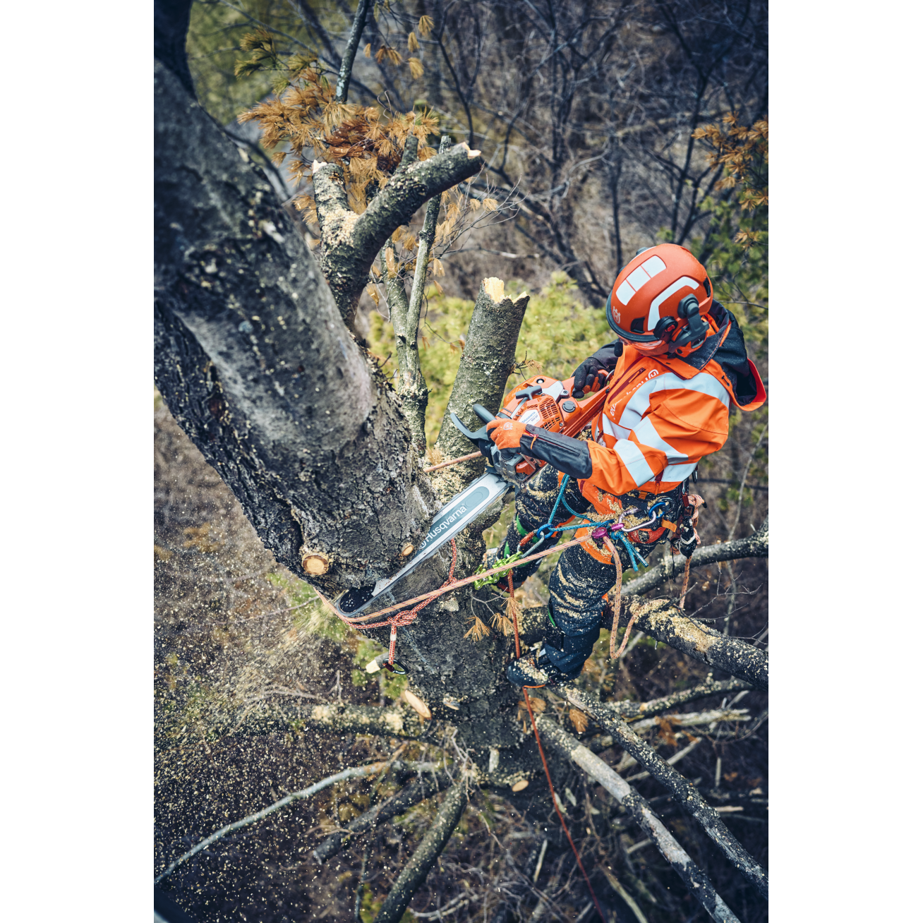GRANDININIS PJŪKLAS Husqvarna 560 XP® Mark II 1