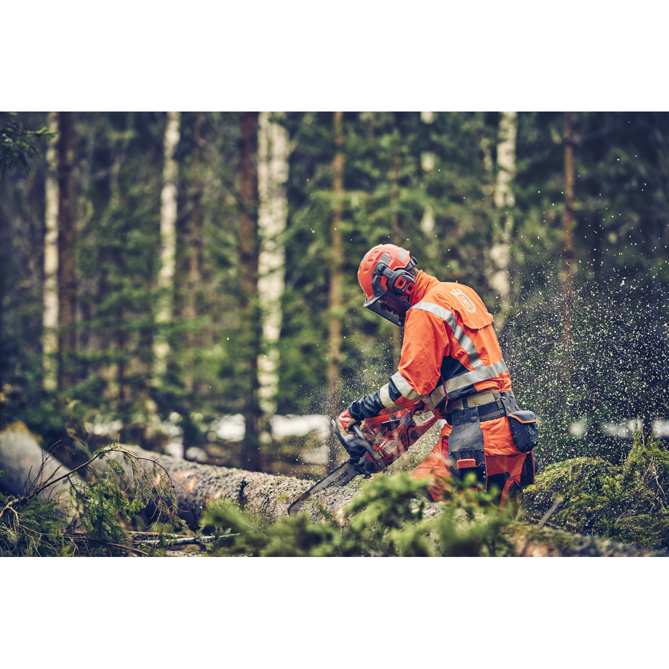 GRANDININIS PJŪKLAS Husqvarna 560 XP® Mark II 3