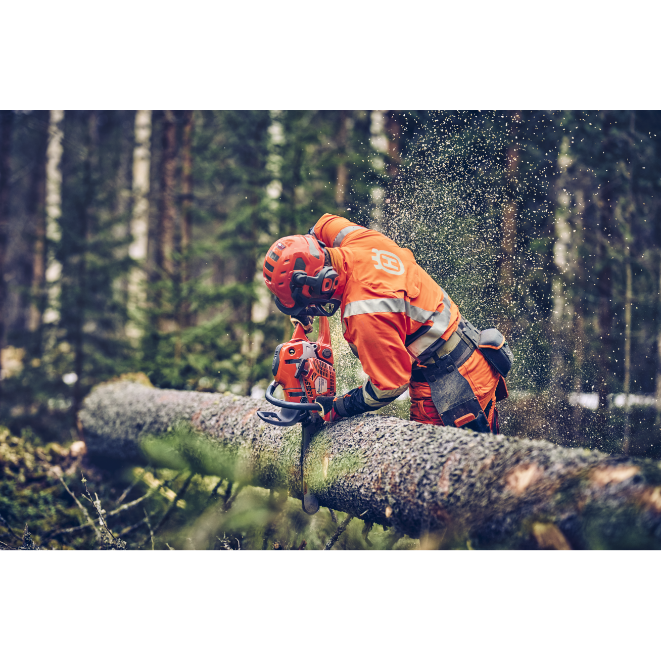 GRANDININIS PJŪKLAS Husqvarna 560 XP® Mark II 4