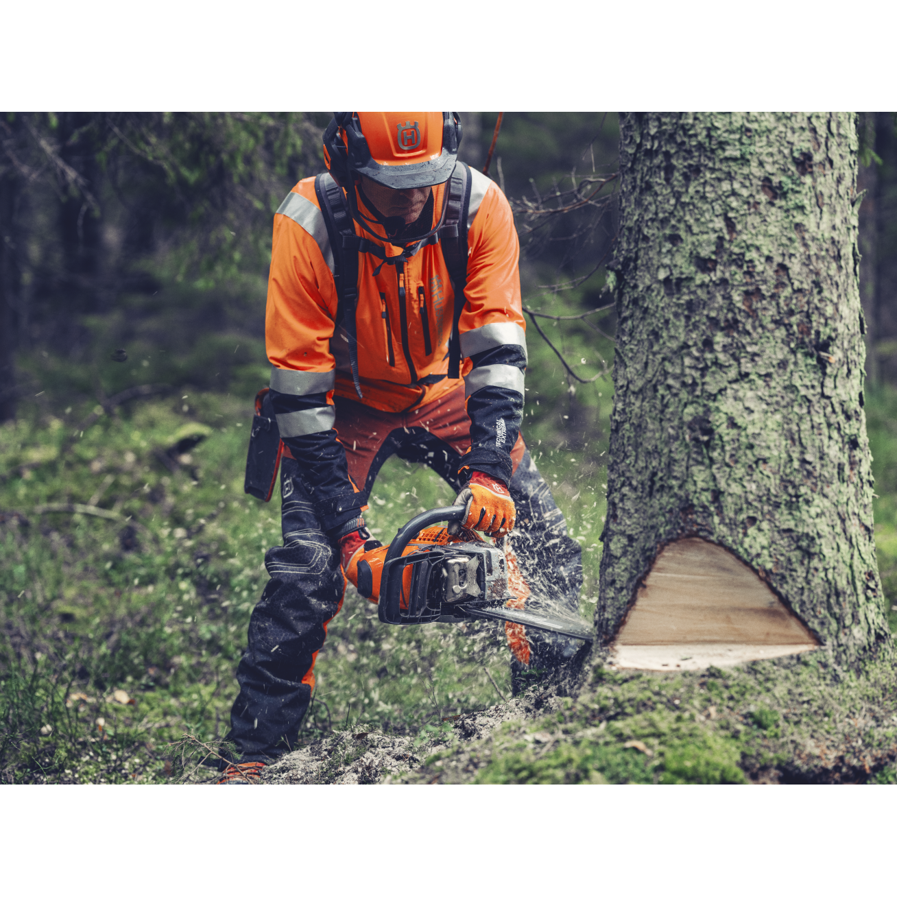 GRANDININIS PJŪKLAS Husqvarna 564 XP® G 5
