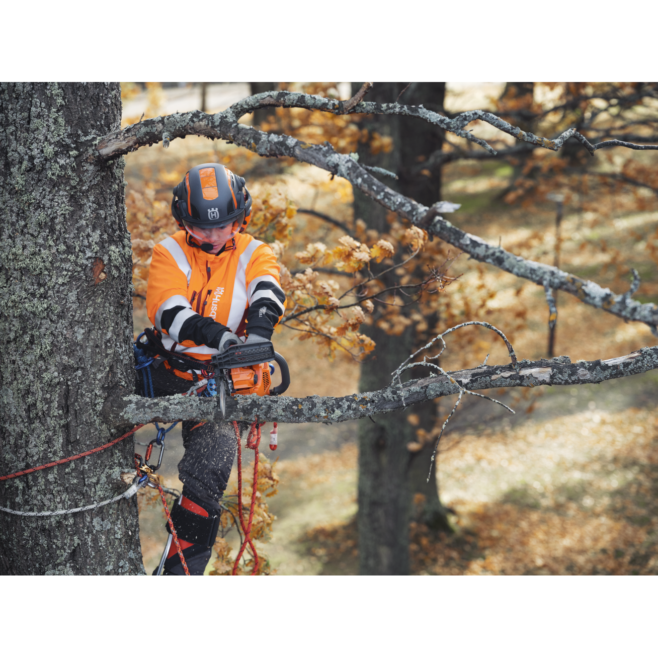 GRANDININIS PJŪKLAS Husqvarna T435