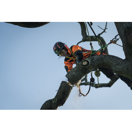 GRANDININIS PJŪKLAS akumuliatorinis Husqvarna T540i XP® 2 GRANDININIS PJŪKLAS akumuliatorinis Husqvarna T540i XP® 2