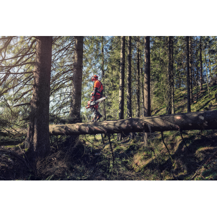 GRANDININIS PJŪKLAS Husqvarna 572 XP® G 2