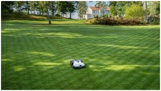 Kodėl turėčiau įsigyti vejos robotą vejapjovę Kodėl turėčiau įsigyti vejos robotą vejapjovę